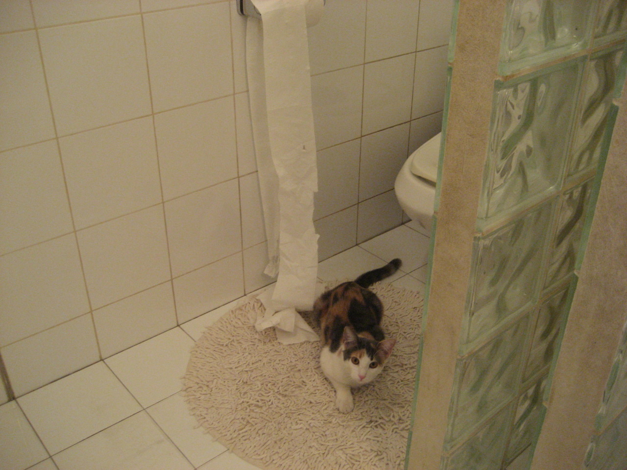 中国青少年篮球推广与校园篮球融合策略,青少年篮球特色学校