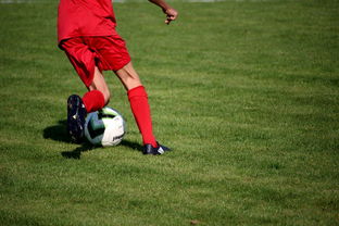 MILANSPORT入口-意甲裁判语义辅助判罚系统提升比赛公平性研究，意甲裁判球衣赞助商