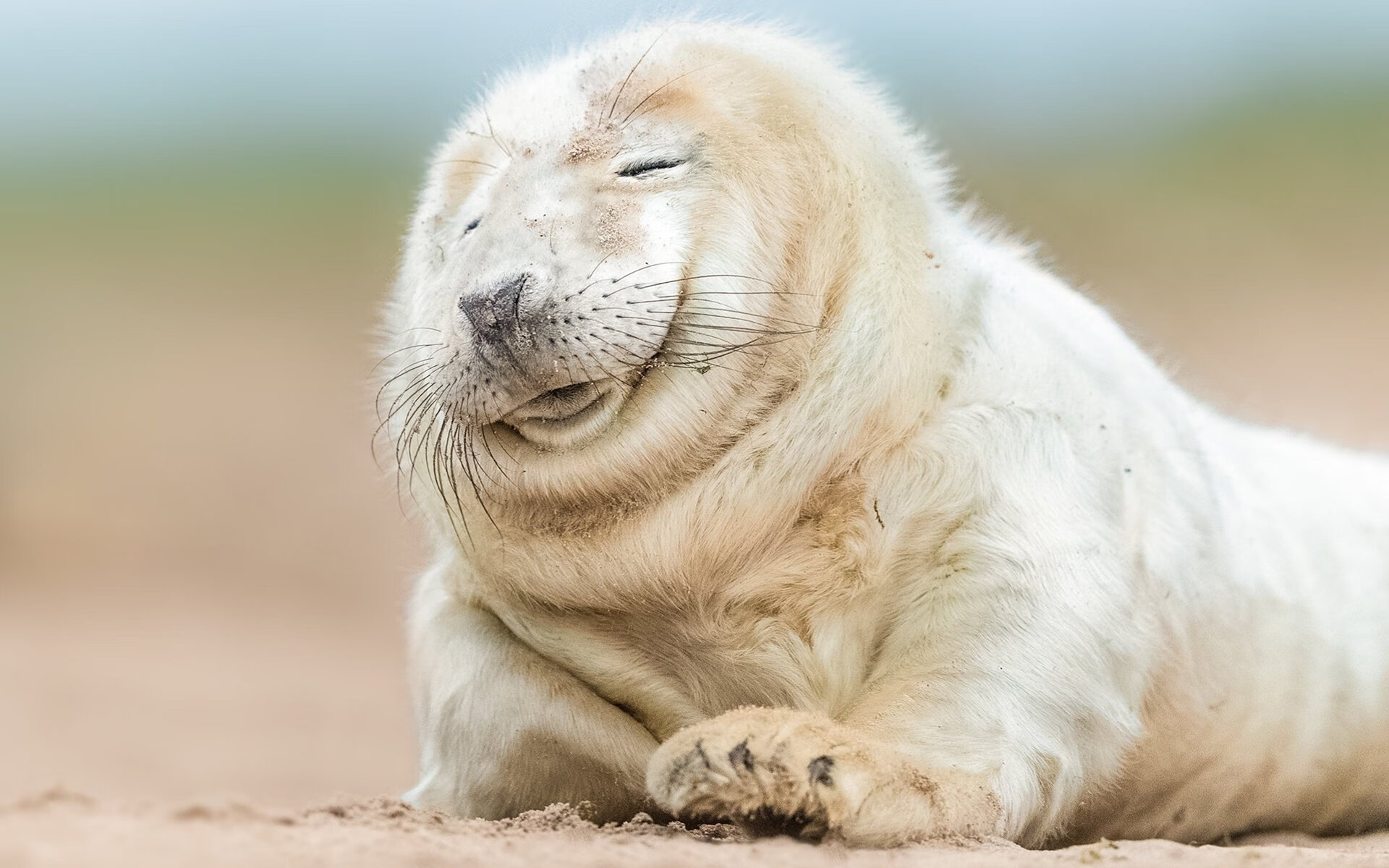 中国男篮内外线结合打造立体进攻体系,中国男篮内线球员