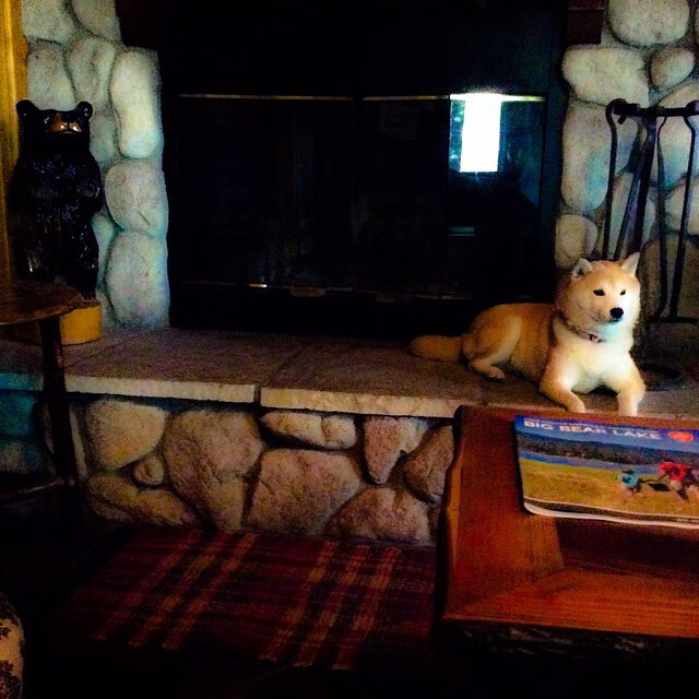 AC米兰-未来发展的制胜法宝：Chinese Taipei团队的成长路径，taipei of china