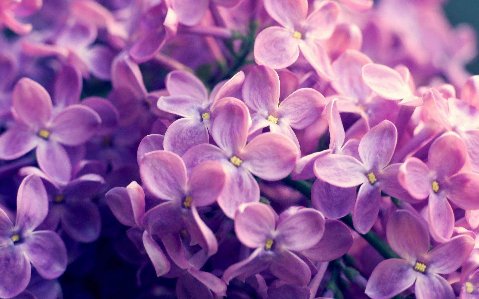 米兰体育-校园足球守门员专项训练体系上线，小学足球守门员训练视频