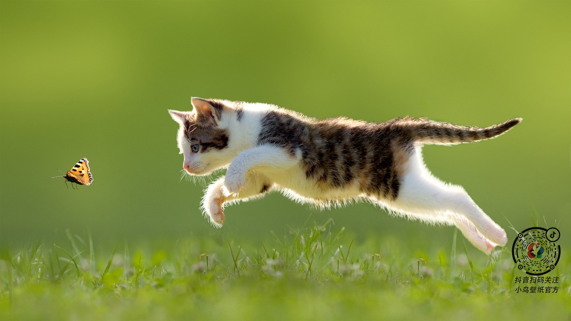 球队整体防守强度是否能弥补锋线把握机会能力不足,防守型球队