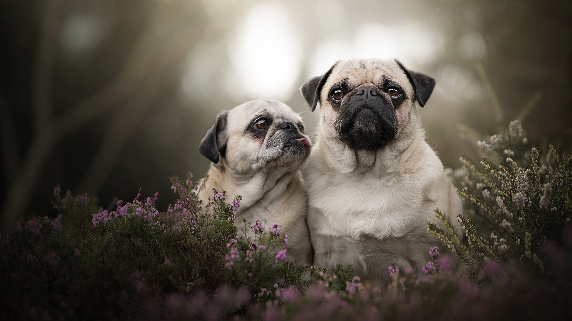 转换进攻节奏中传球路径选择技巧，转换进攻节奏中传球路径选择技巧包括