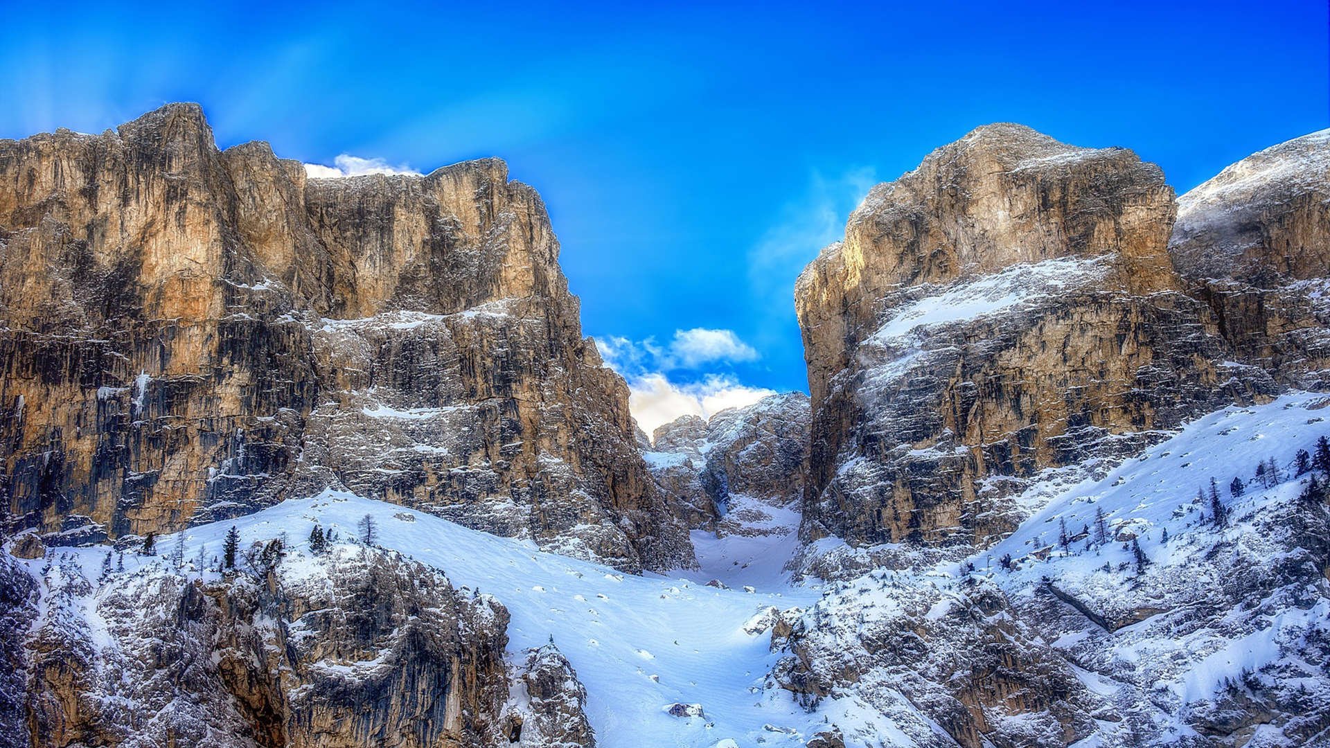 凯尔特人主场训练中全队合影温馨,凯尔特人队 足球