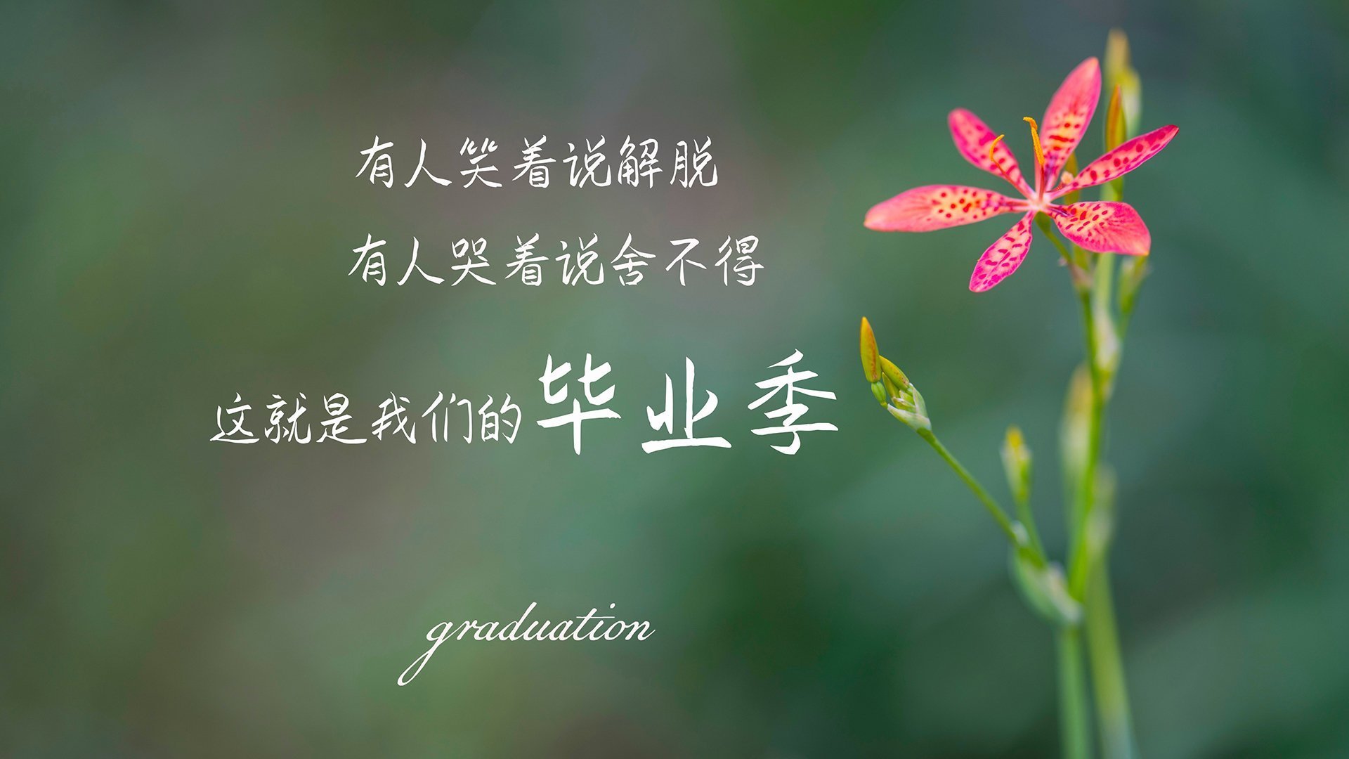 女篮国家队注重技术细节提升执行力,国家女子篮球队队长