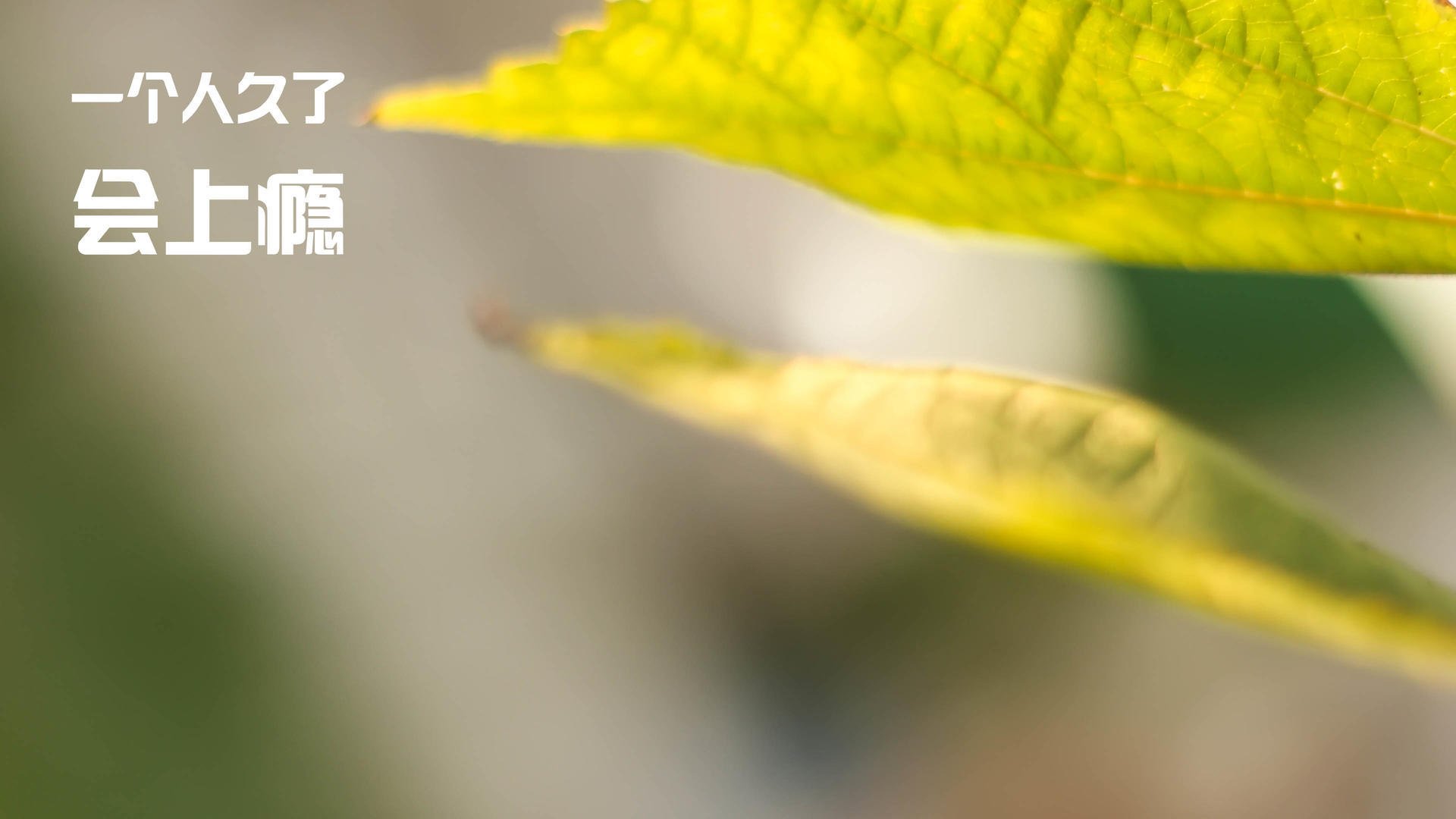 MILANSPORT入口-德甲火力全开：攻势凌厉，场面火爆！，德甲榜首大战