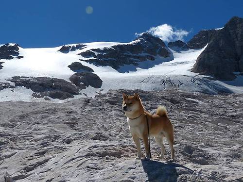 MILANSPORT下载-意甲战术谋划：布局巧妙，变化多端！，意甲分析预测