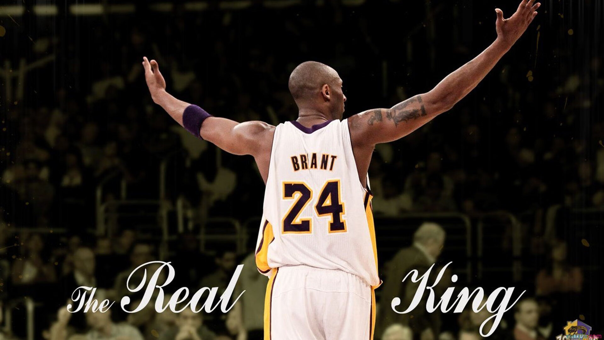 王宗源冲刺阶段表现抢眼,王宗源实力